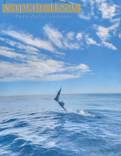 captain hook sailfish jumping out of water