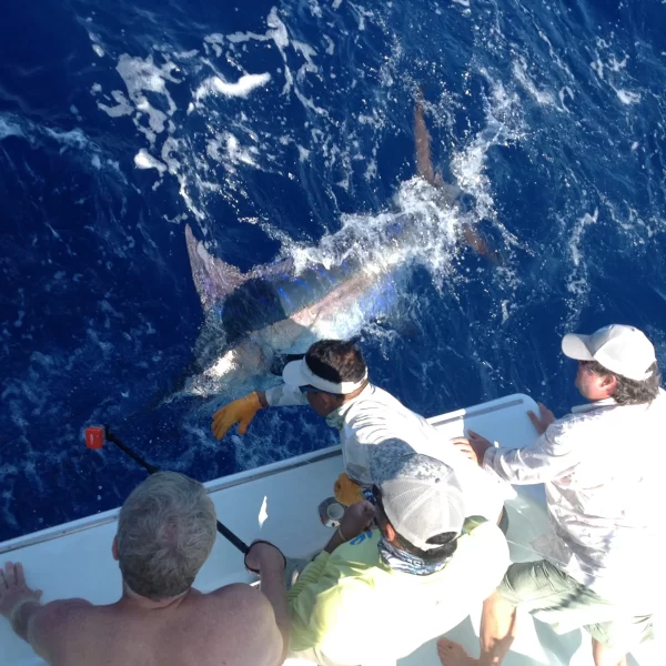 Anglers with a Marlin Fish